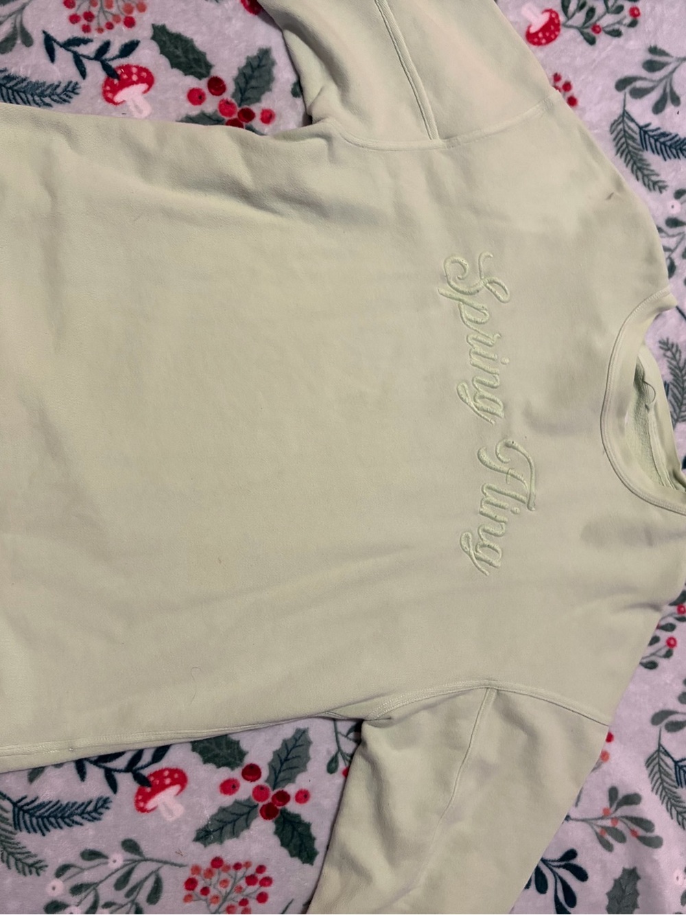 aerie Mint Green Embroidered Logo Sweatshirt